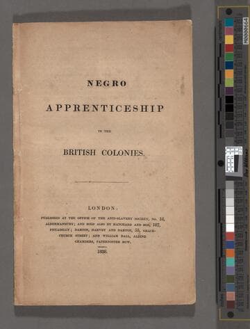 Negro apprenticeship in the British Colonies