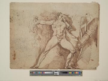 Hercules and the Cretan Bull