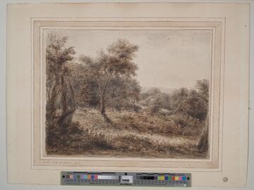 In the Park at Levens