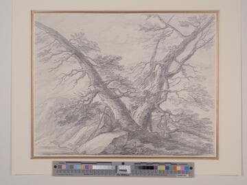 Landscape with Peasants Resting by a Tree