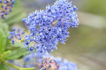 Go to image 2.