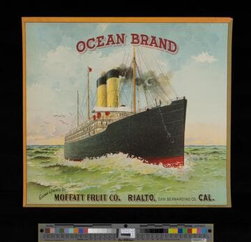 Ocean Brand