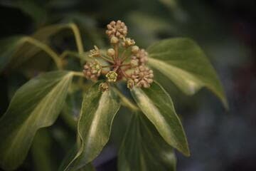 Go to image 9.