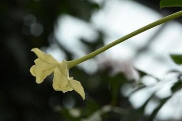 Go to image 3.