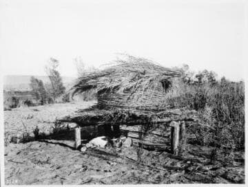 Chemehuevi Indian Granary  (Seguin?) for Mesquite Beans