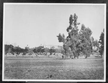 Pasture land south of the Huntington residence, circa 1911