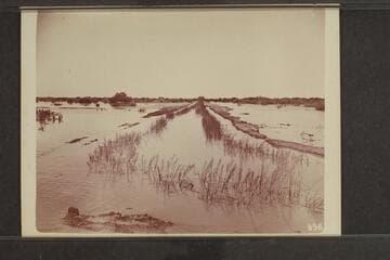 The flats of the Colorado when the river is in flood