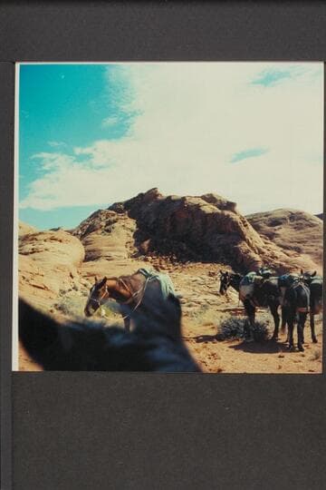 Dugway out of canyon east of Hole in the Rock