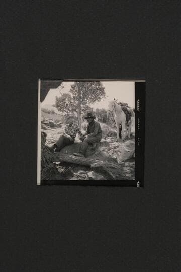 Masland and Tobe Owl