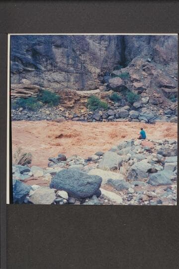 Vulcan Rapid; Jim Bob Rowland's "Looksee"