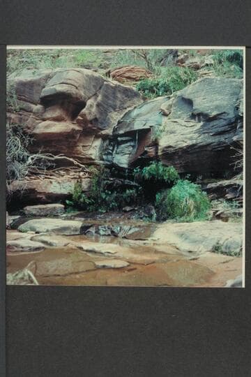 Melody or Melodic Spring.  Mile 1, left bank of San Juan River