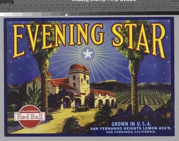 Evening star