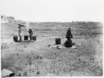 Chinese winnowing beans