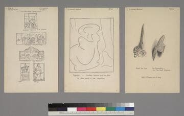 Set of 37 drawings copied from didactic sources created by E. Frances Botsford