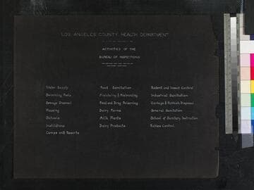 Activities of the Bureau of Inspections, 1931