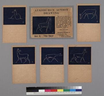 Augsburg's Action Drawing